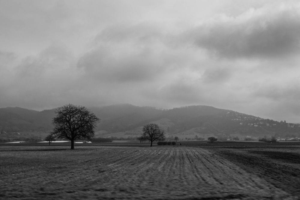 Photograph by Mirela Tortumanova