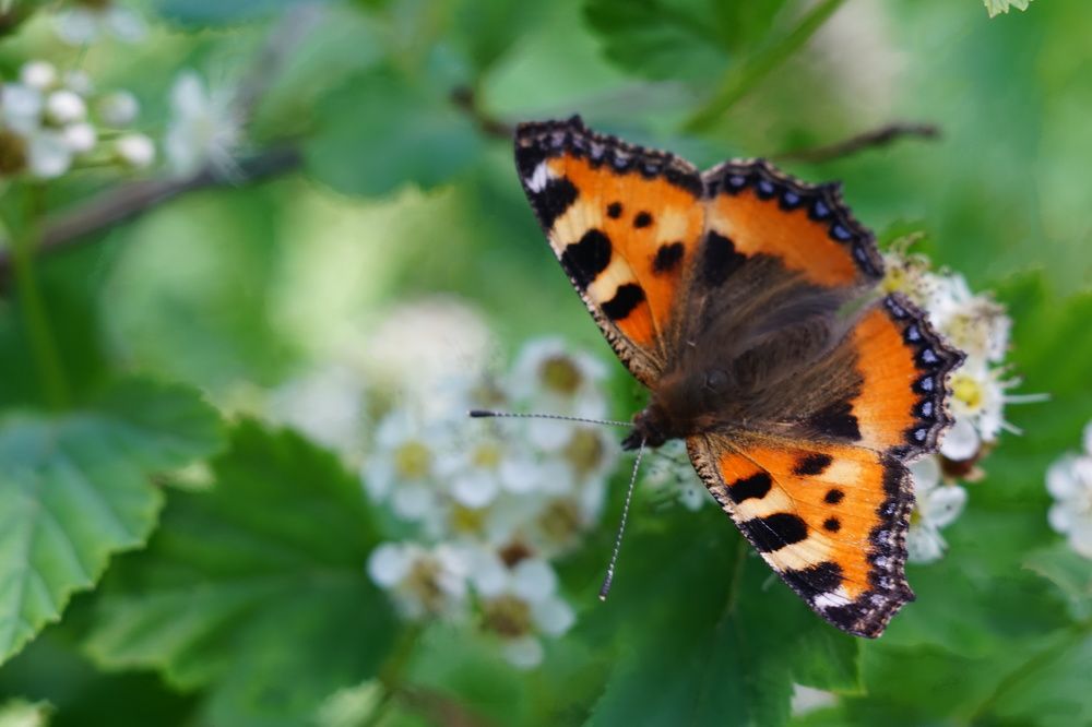 Photograph by Александр Кизим