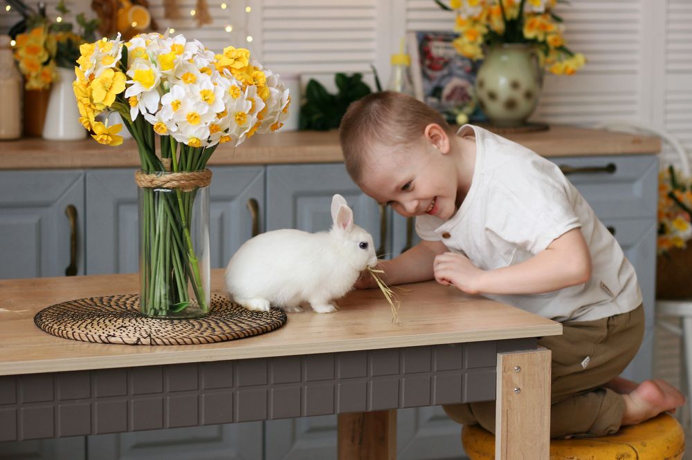 Photograph by Наталья Преснякова