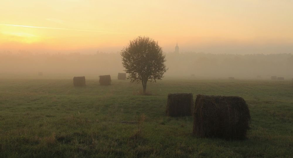 Photograph by Суетинов Евгений