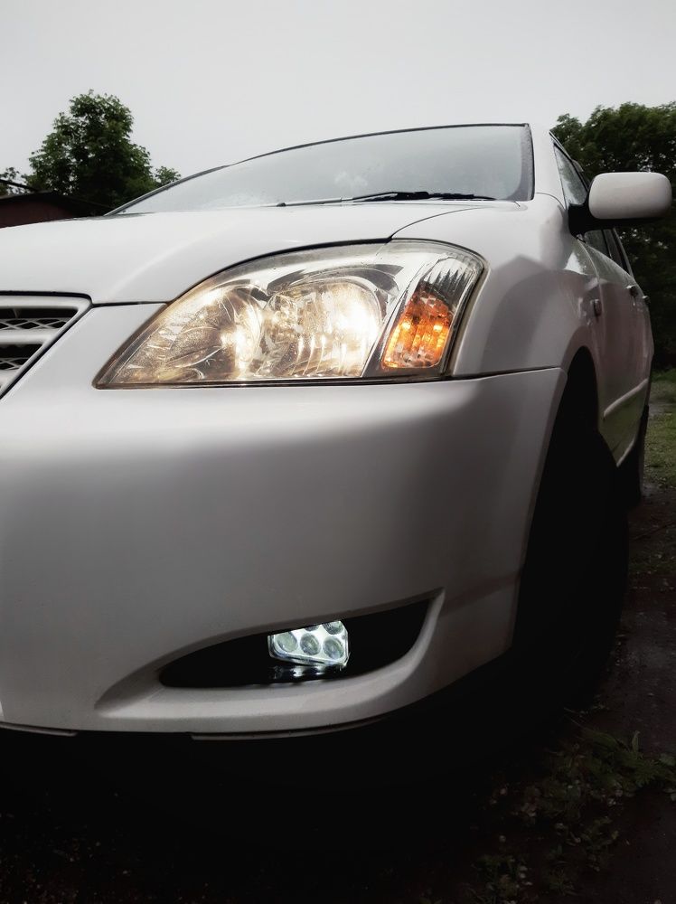 Photograph by MobigrafVDK