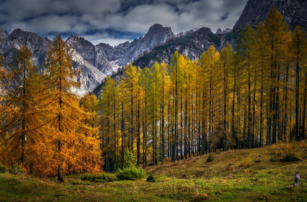 Photograph by Boris Bekelman