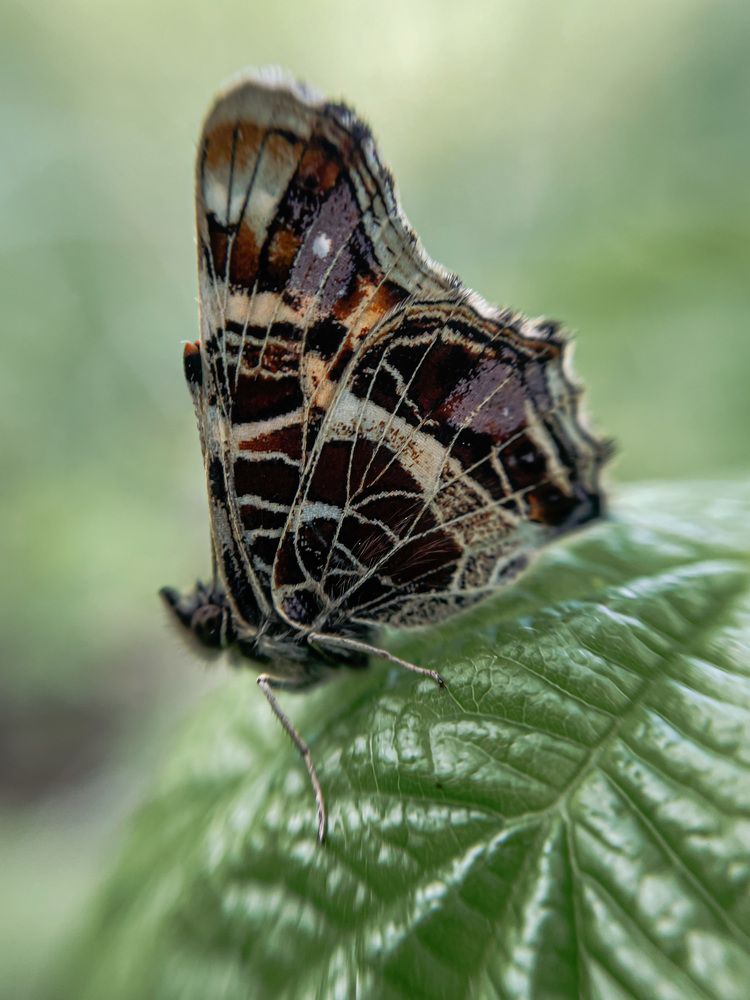 Photograph by Марина Тверитнева