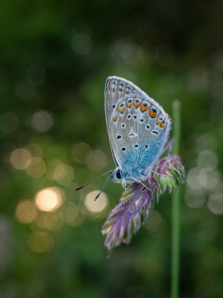 Photograph by Владимир Машко