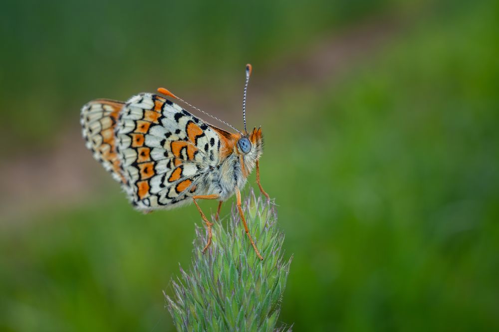 Photograph by Владимир Машко