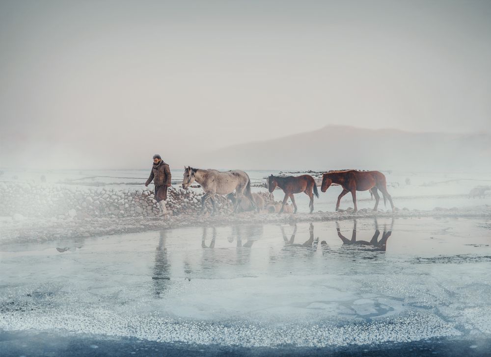 Photograph by iamrawareus