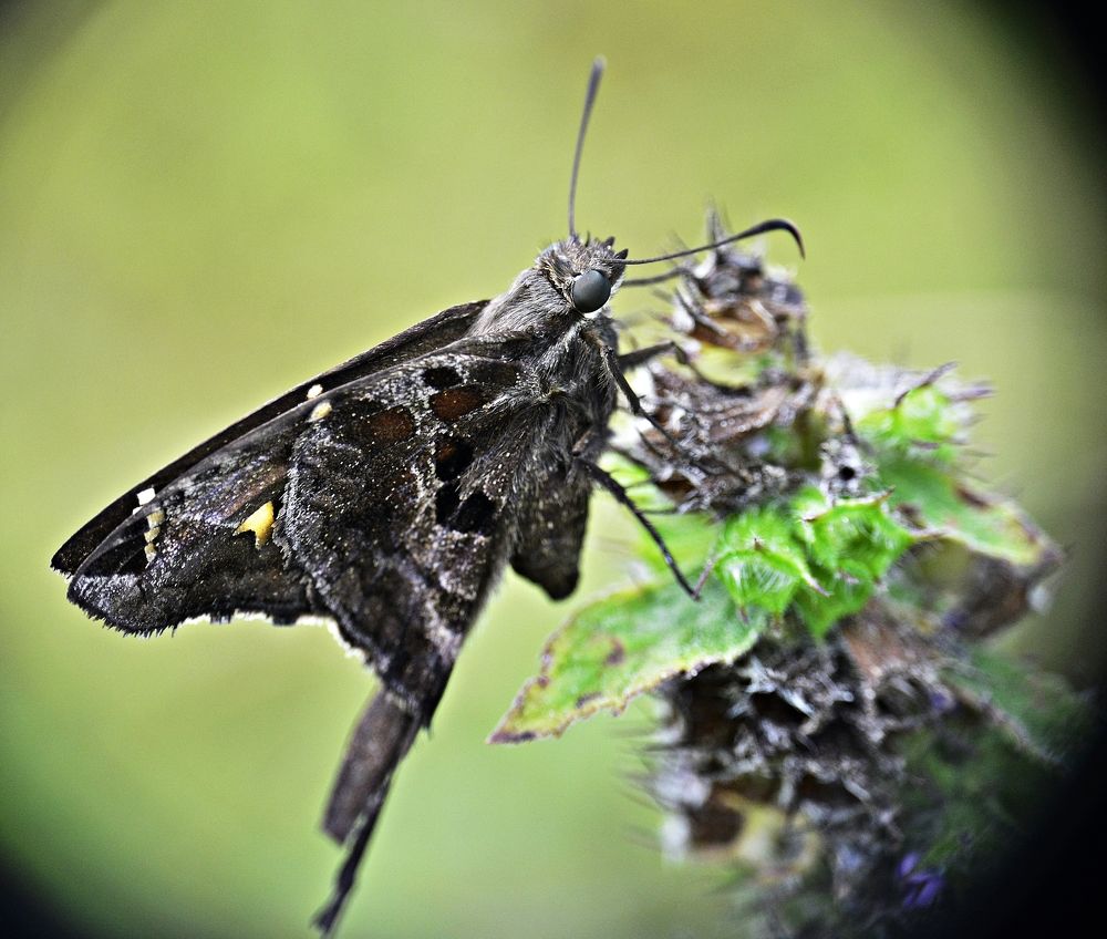 Photograph by FRANCISCO FERREIRA