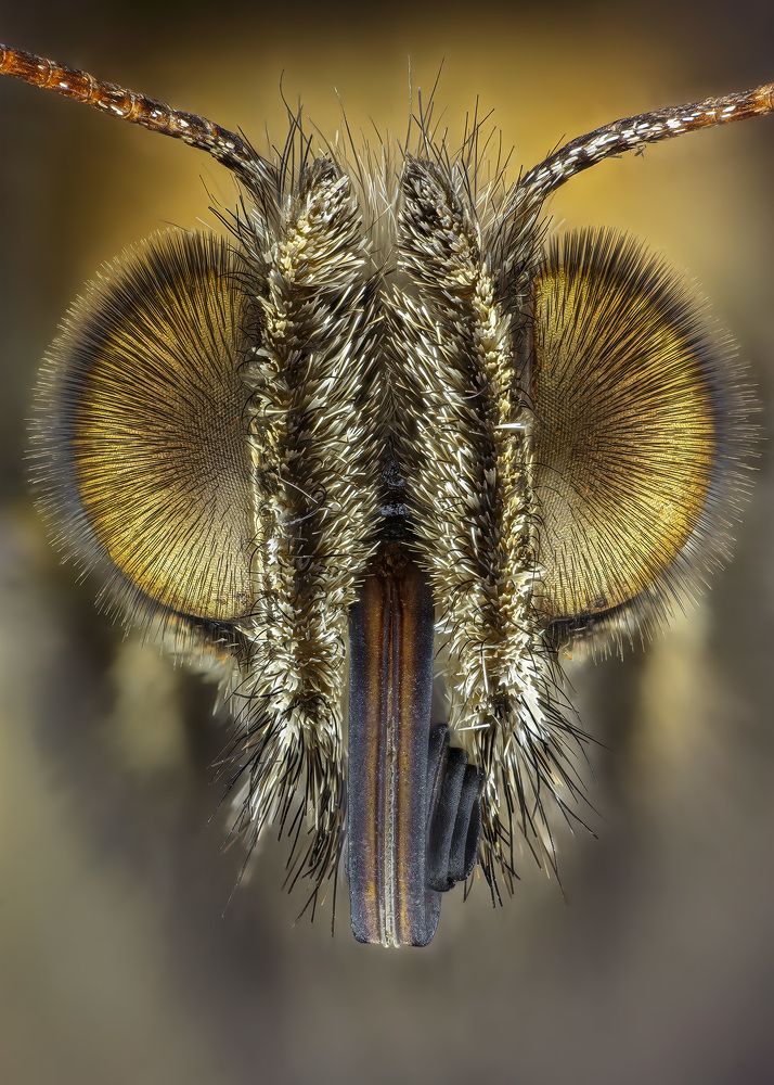 Photograph by Rastislav Borovsky