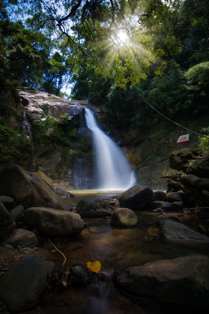 Jungle Waterfalls: Nature's Tranquil Gems