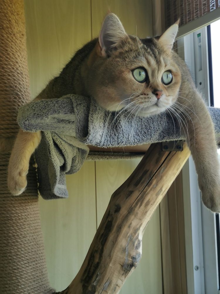 Photograph by Мария Маханько