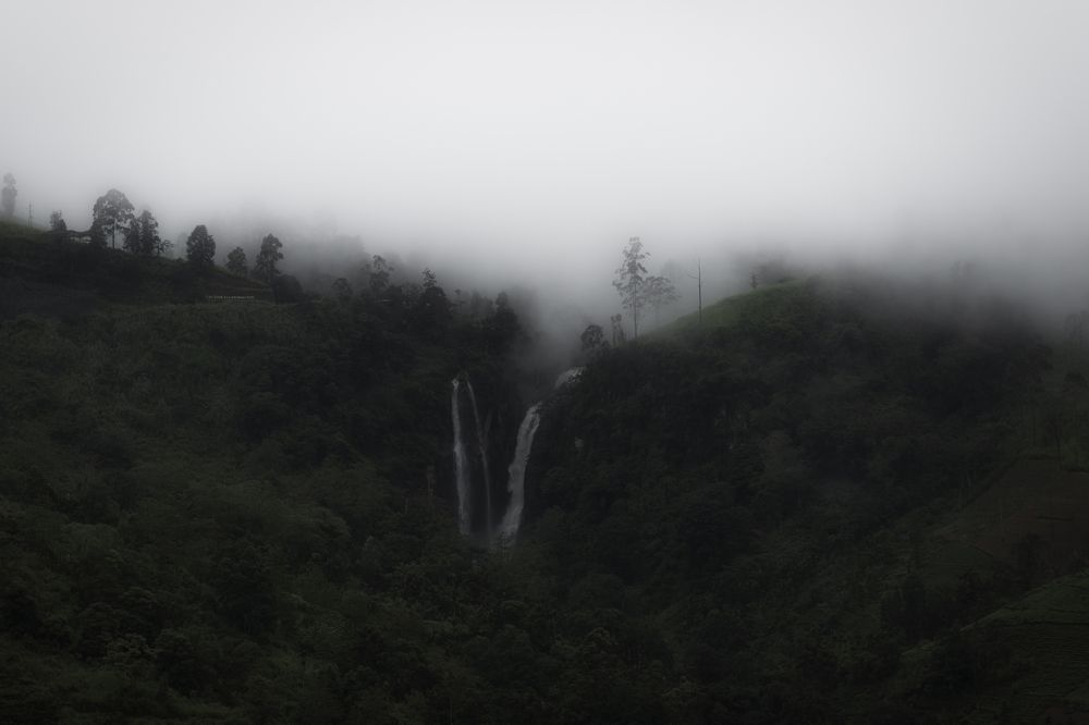 The Veil of Mystery: Exploring Fog's Charms