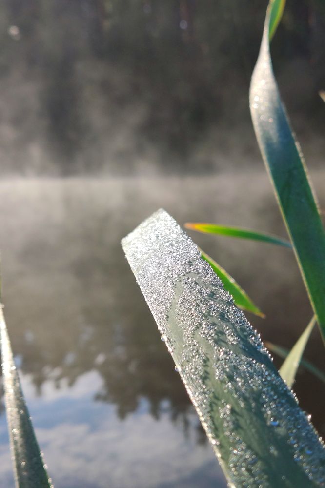 Фотография автора Михаил Кротков