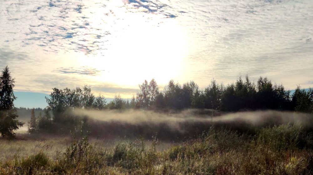 Фотография автора Михаил Кротков