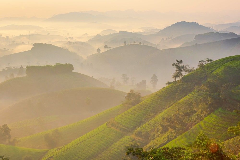 Photograph by Duc Nguyen