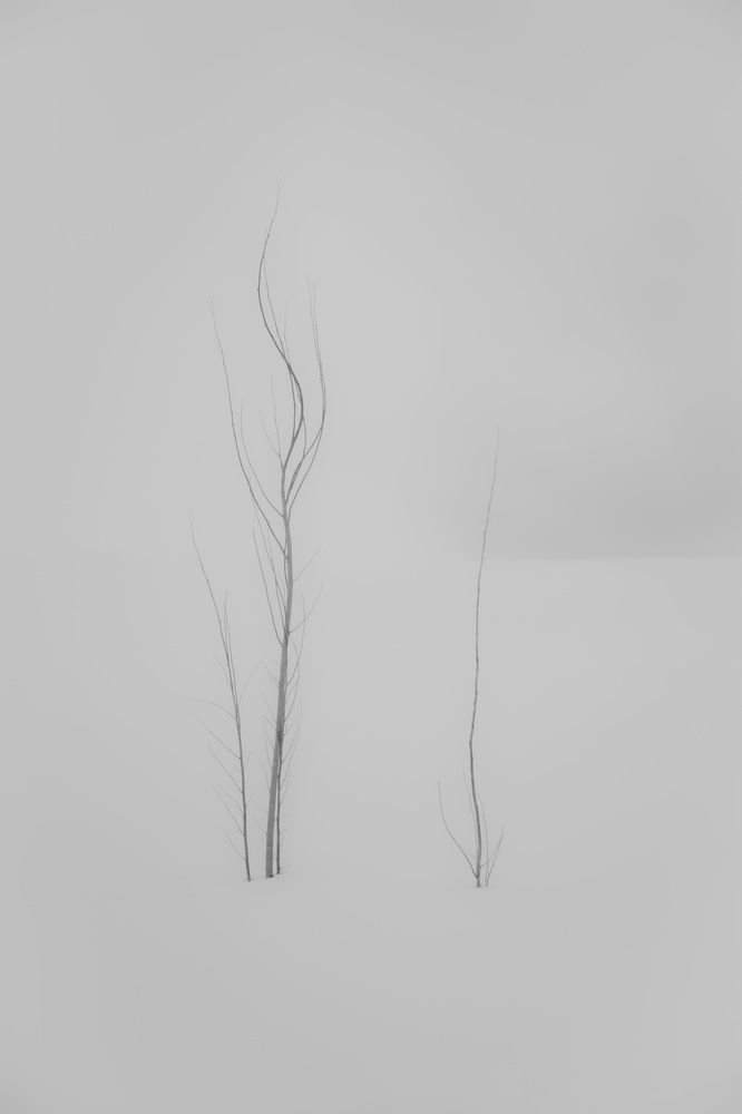 Фотография автора mohammad aref zohrabi