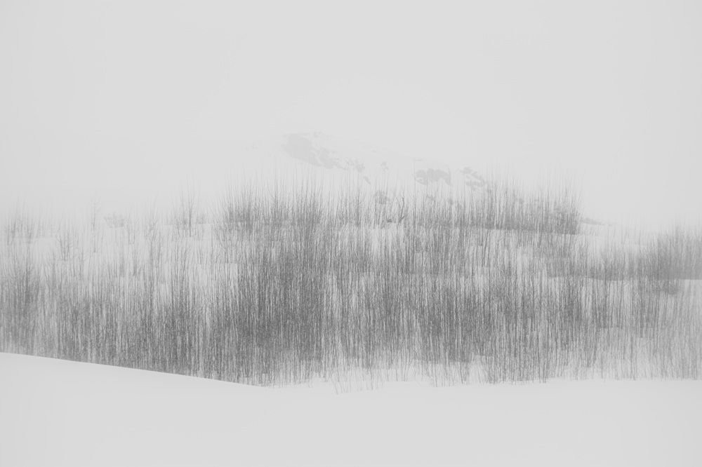 Фотография автора mohammad aref zohrabi