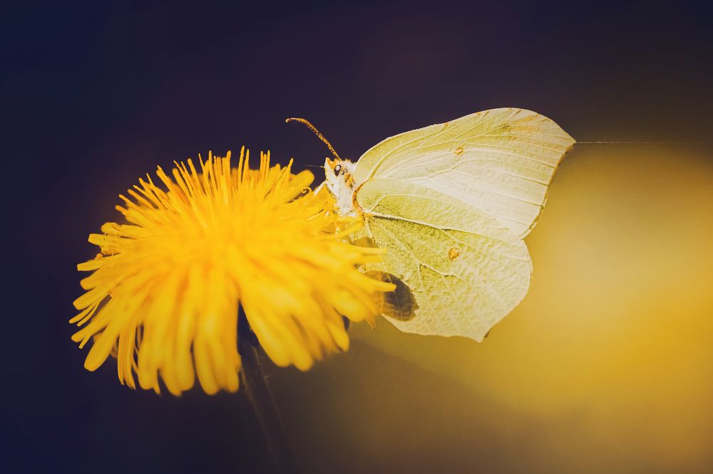 Photograph by Валерия Ватель