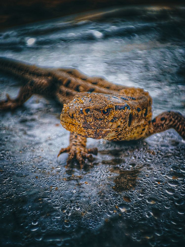 Photograph by Konstantin Martynov