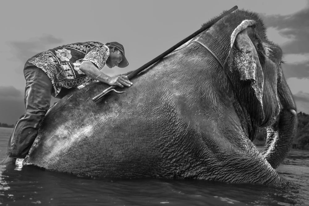 Photograph by Hoai Anh Dang