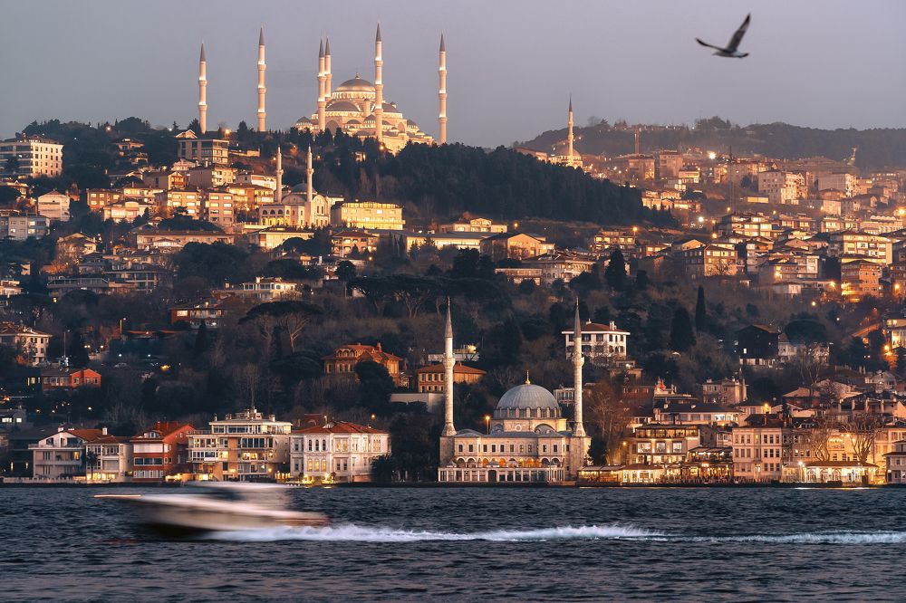 Фотография автора Мазурева Анастасия