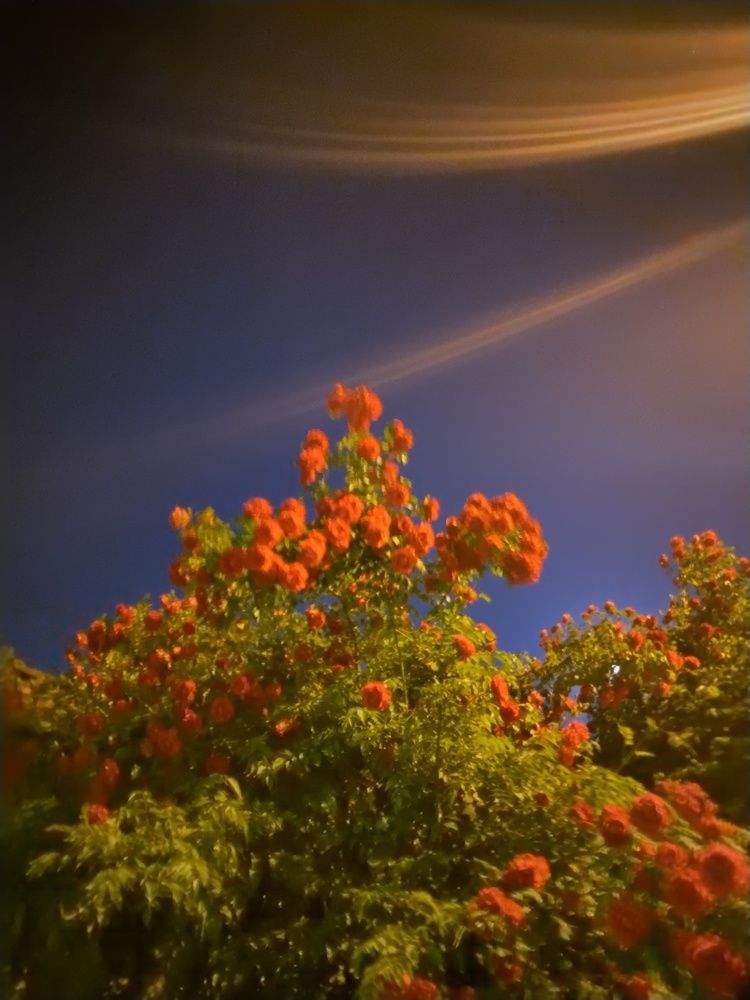 Photograph by Marcel Gaidamut