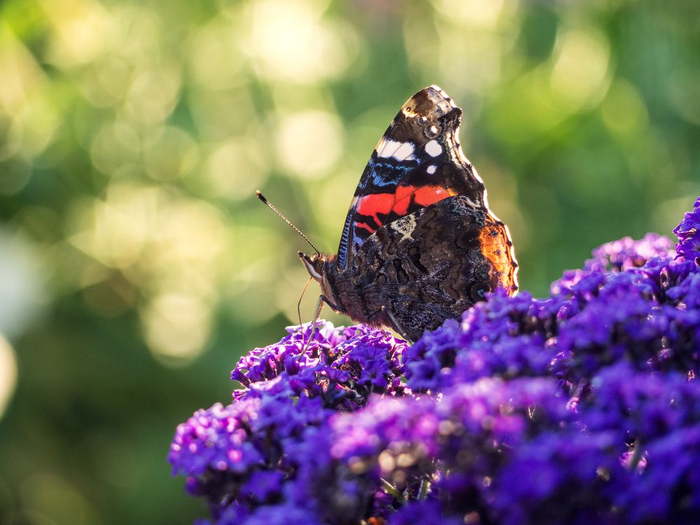 Photograph by Евгений Фазлеев