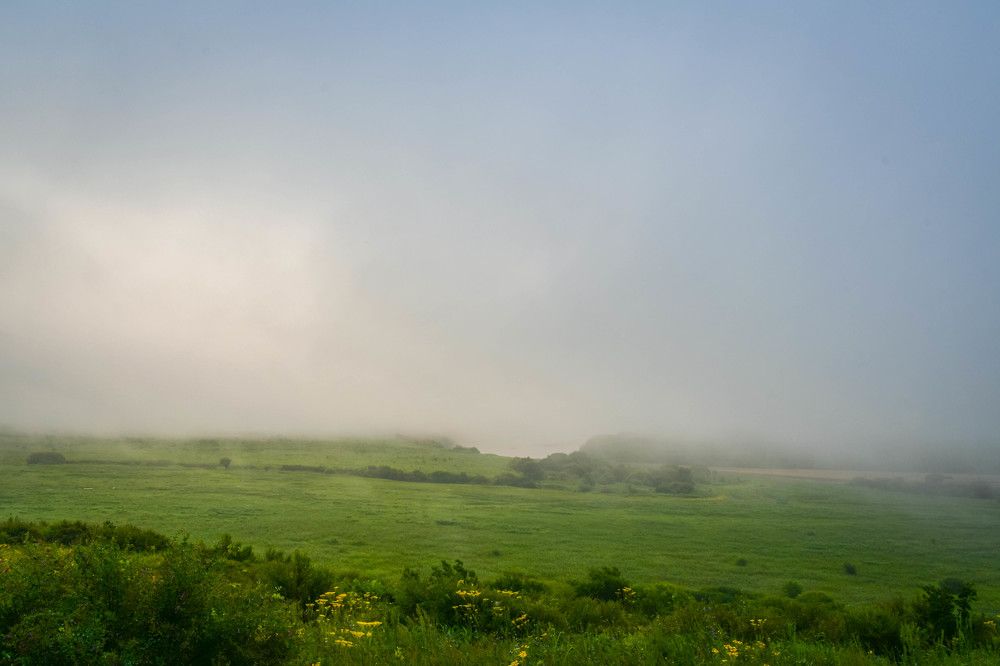 Photograph by Олег Волков