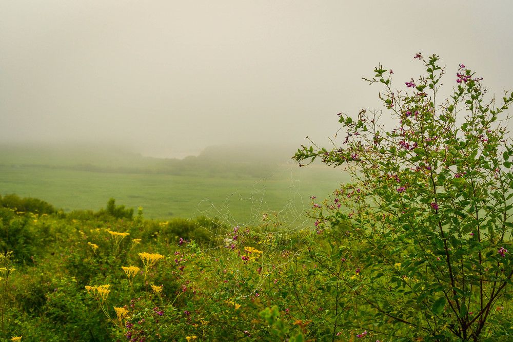 Photograph by Олег Волков