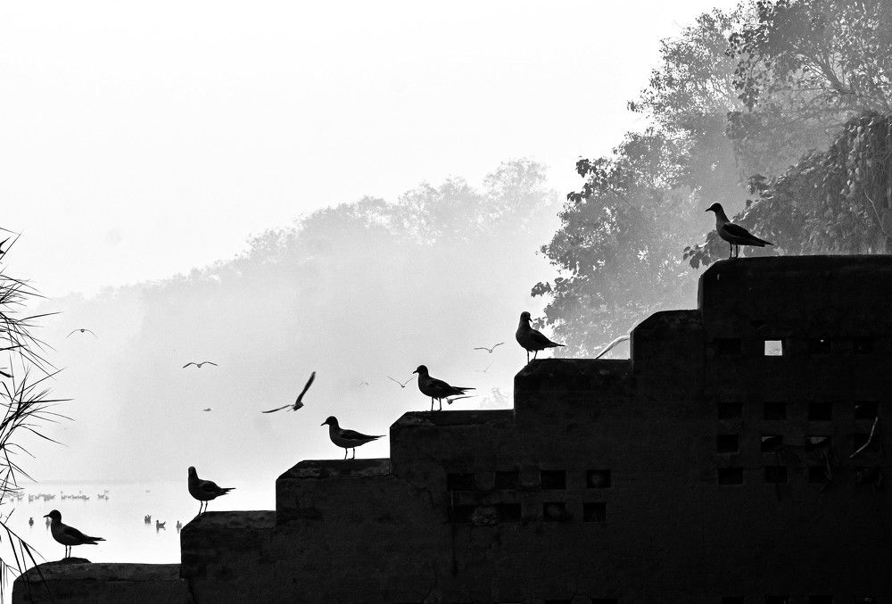 Photograph by Abhay Patel