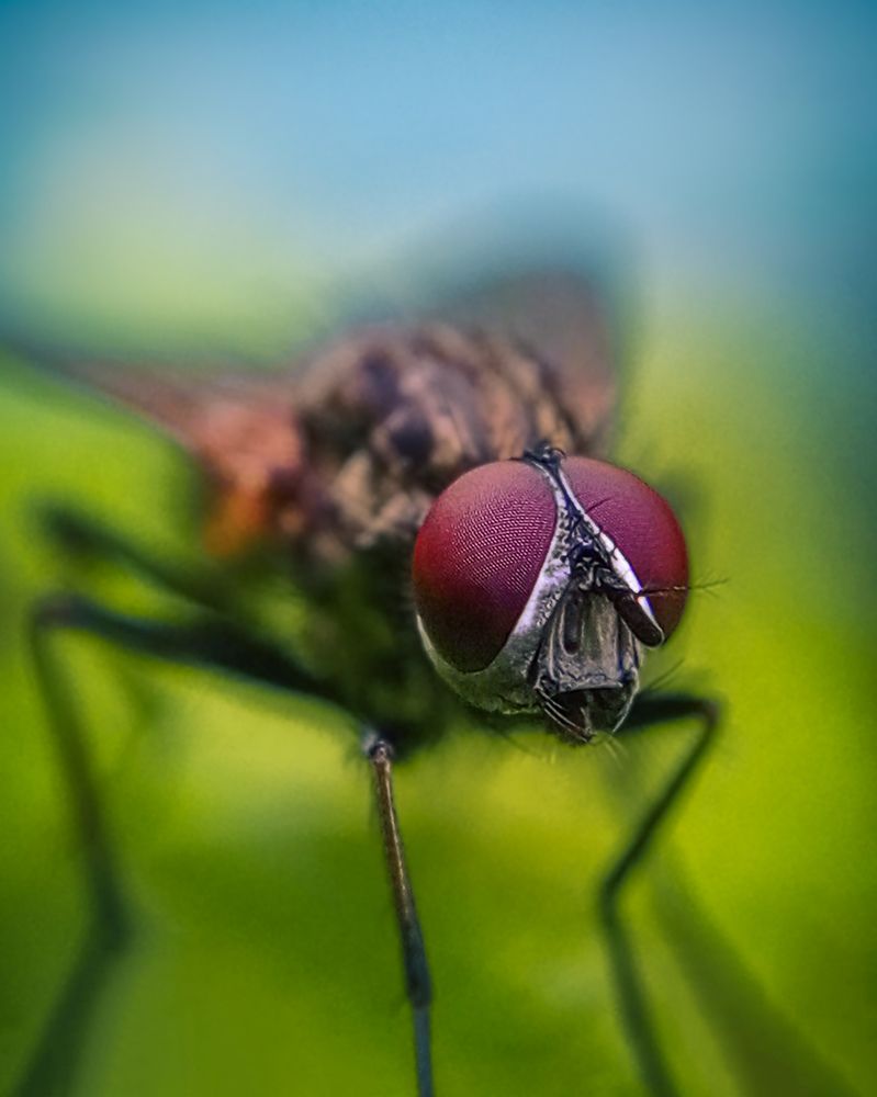 Photograph by Sergey Kolos