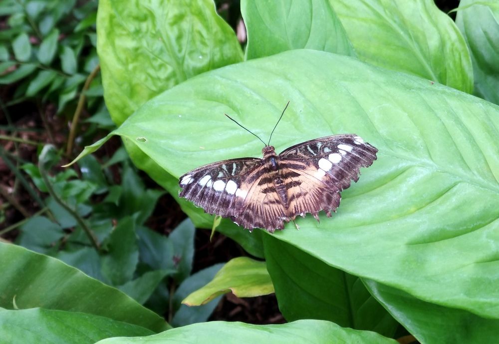 Photograph by Pjotr Alekseev