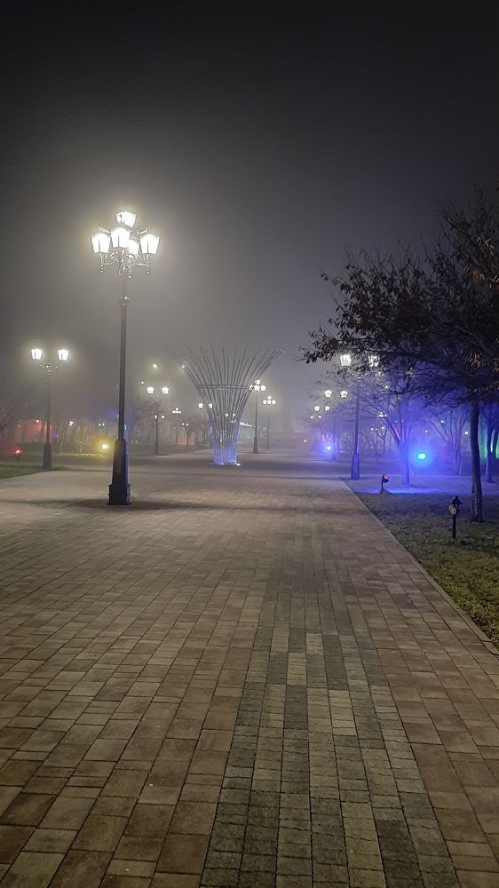 Photograph by Елена