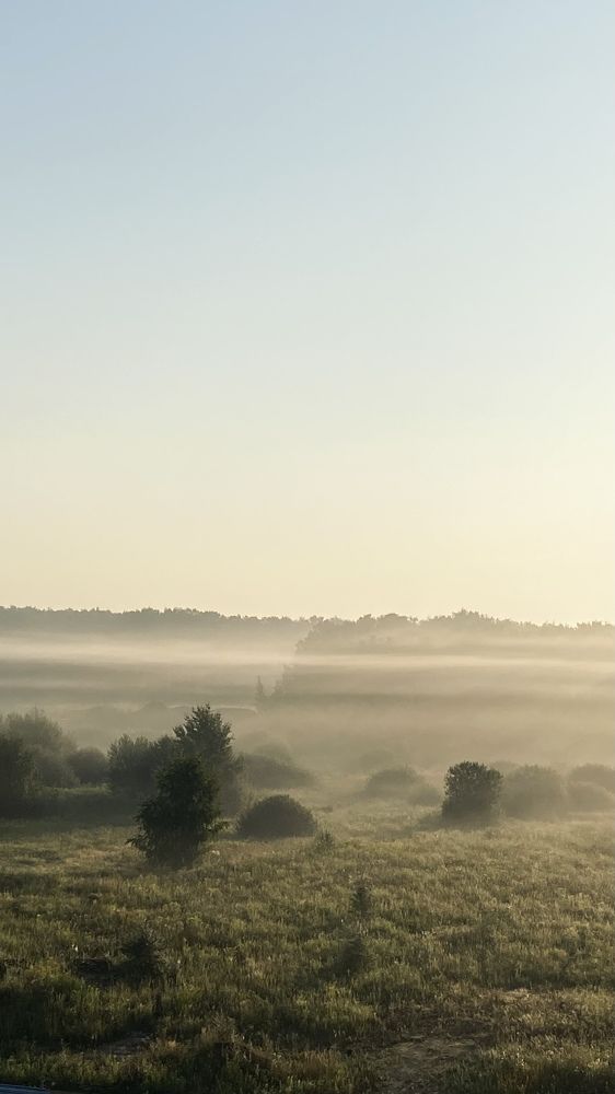 Photograph by Алёна Старикова