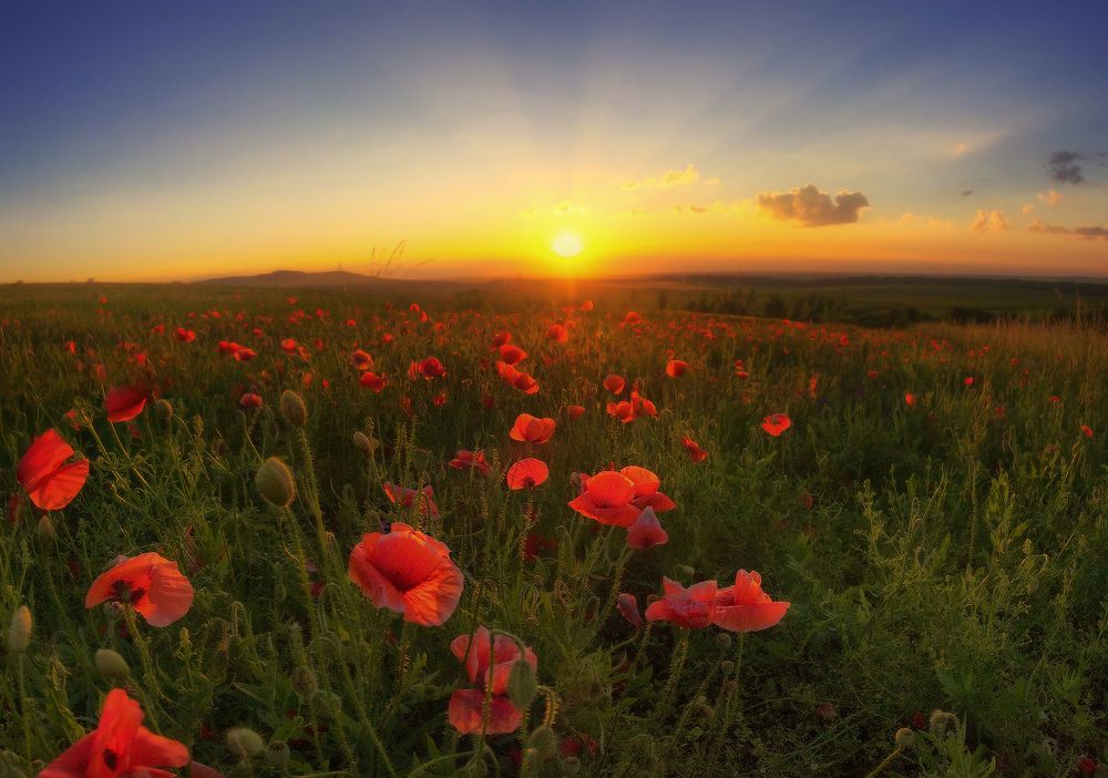 Photograph by Владимир