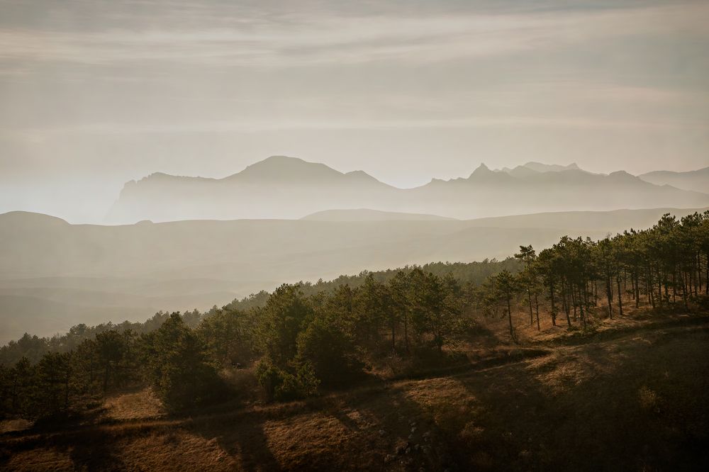 Photograph by Uliya Krakos