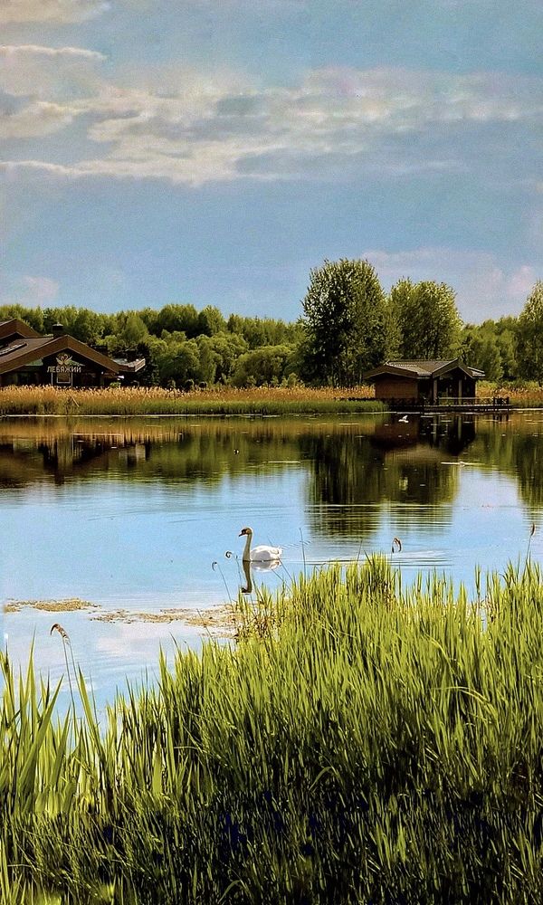 Photograph by Надежда Смирнова