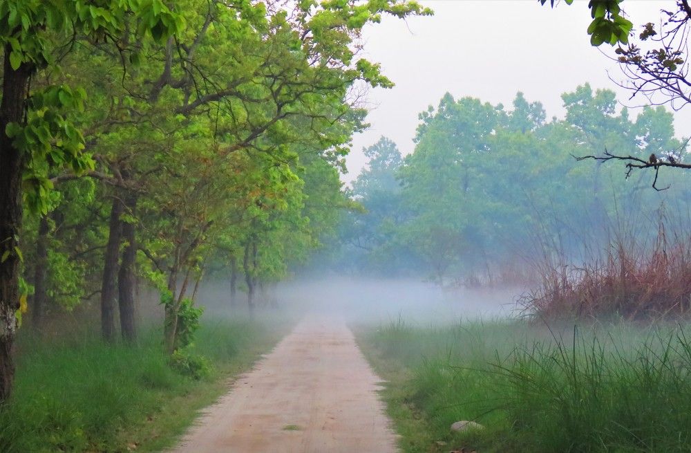 Photograph by ANISH BISWAS