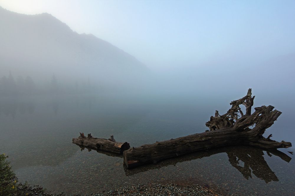 Синий туман...