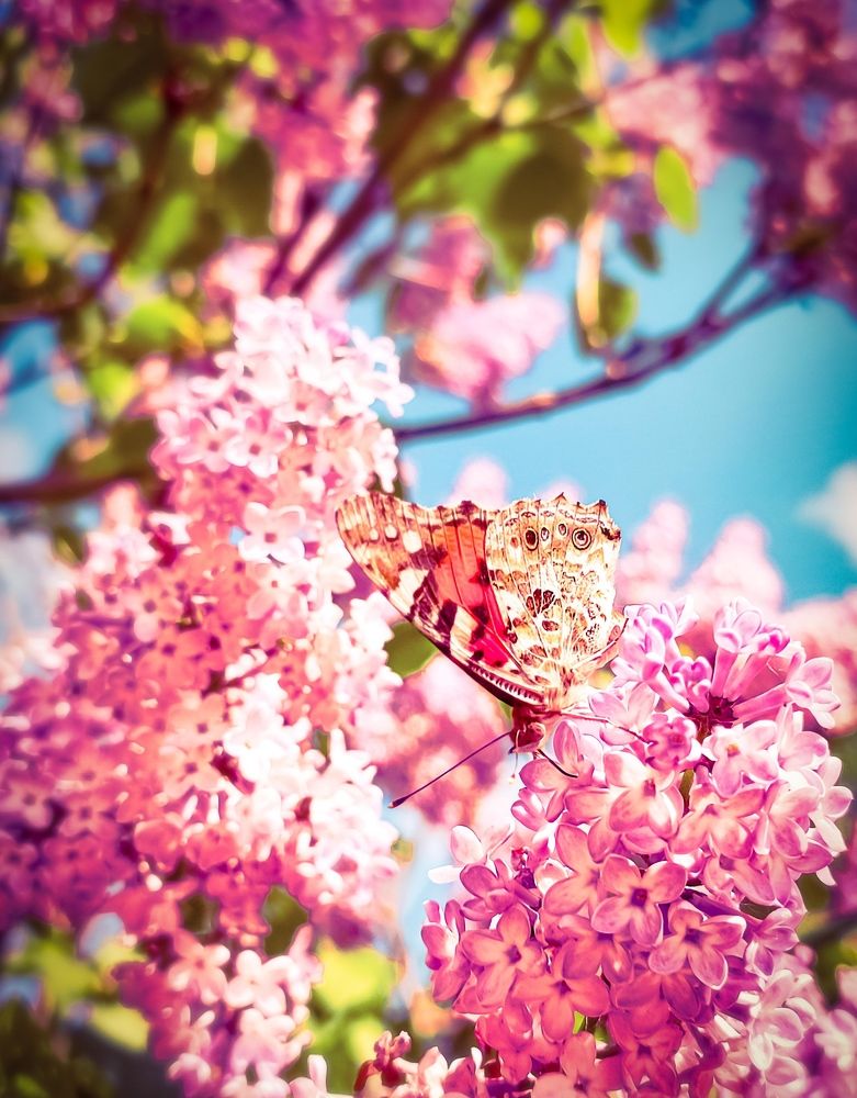 Photograph by Николай Яковлев