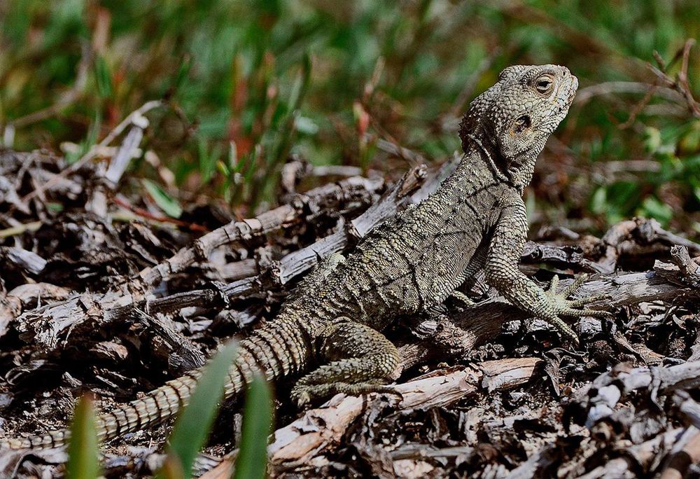 Photograph by Яков