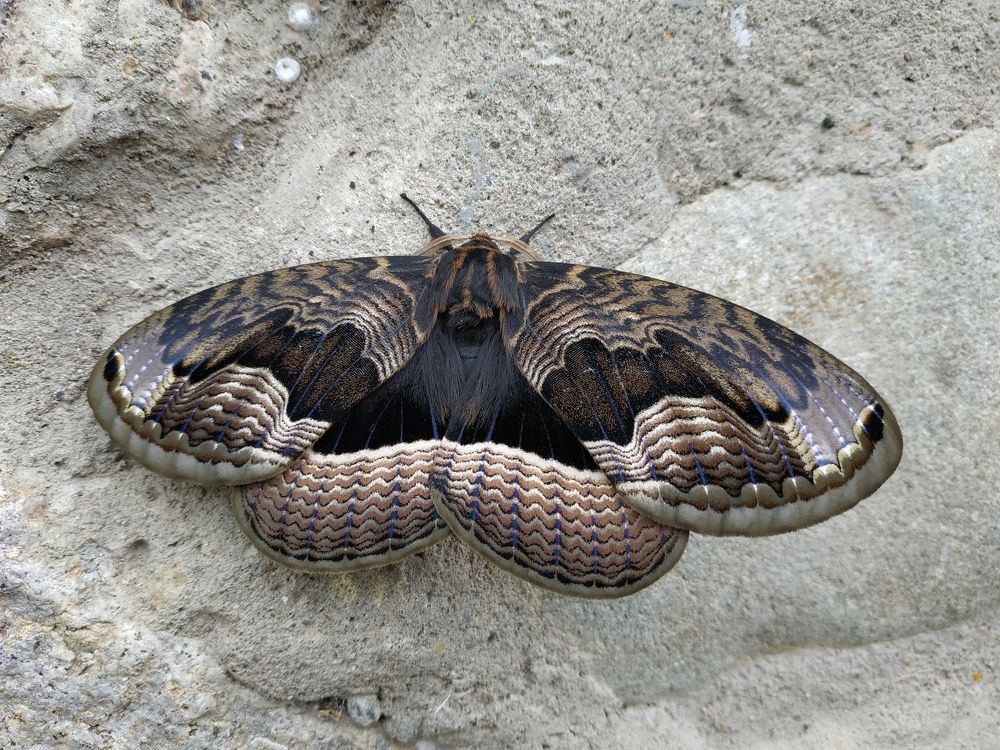 Фотография автора Александр Довганюк