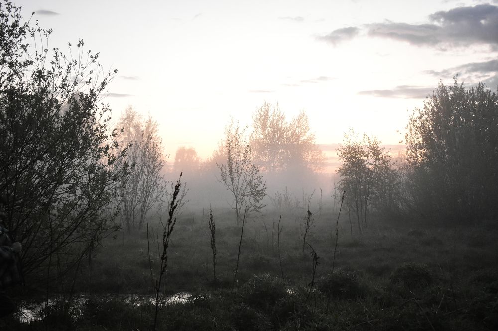 Photograph by Татьяна Носкович