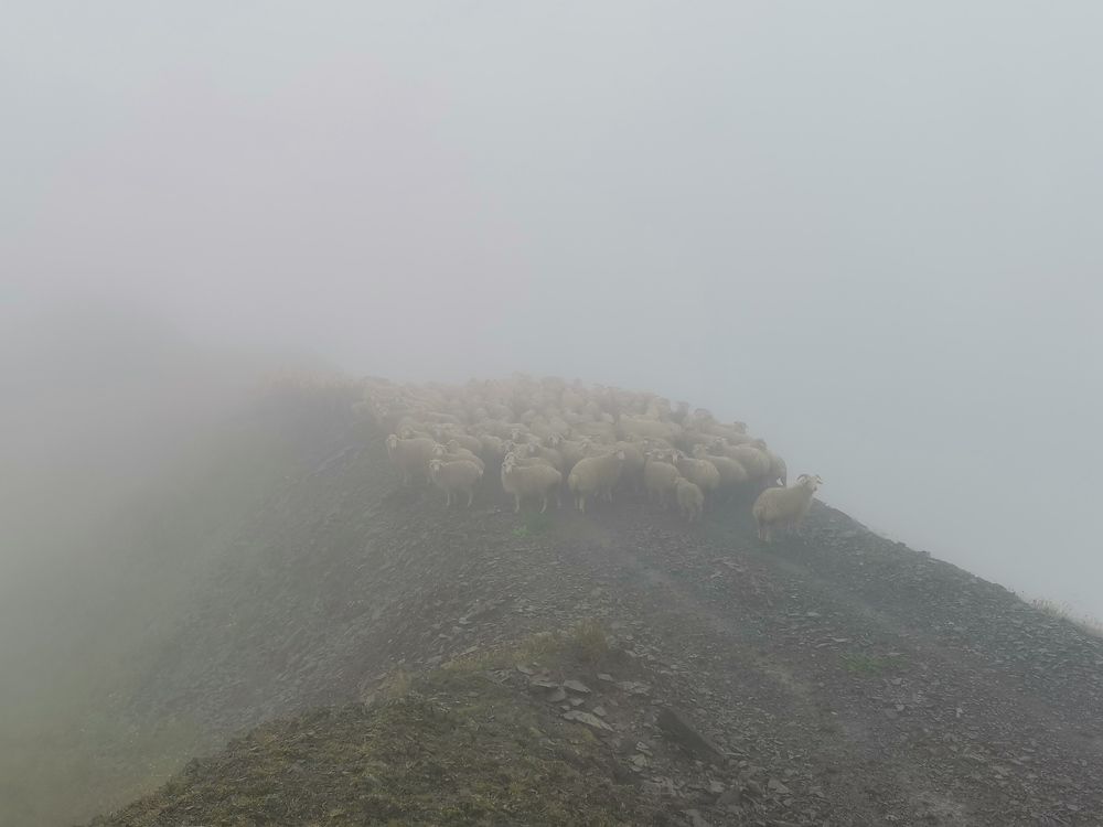 Photograph by Ронжин Дмитрий