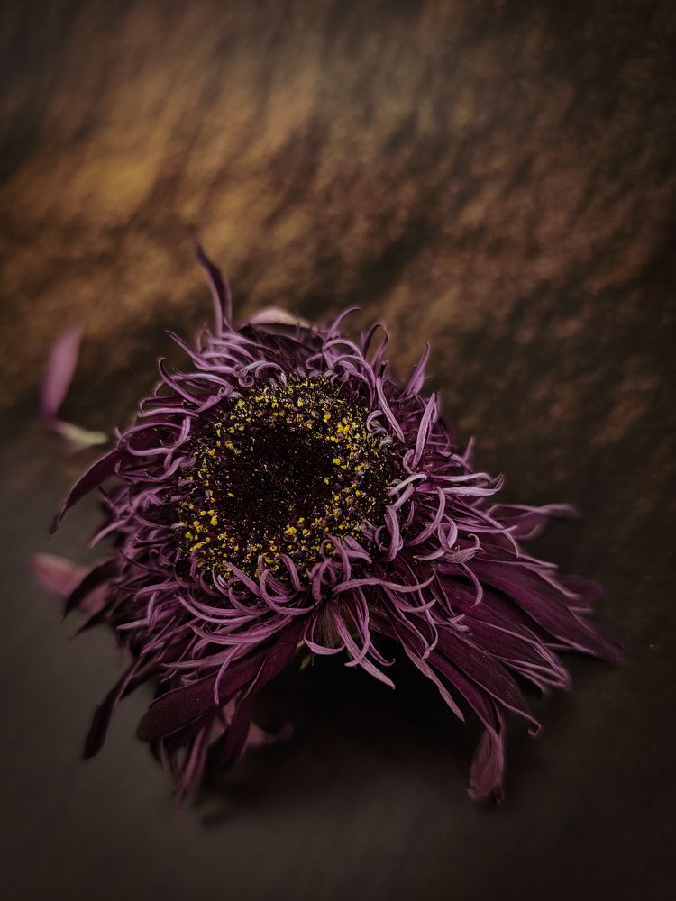 Photograph by Татьяна Штунь