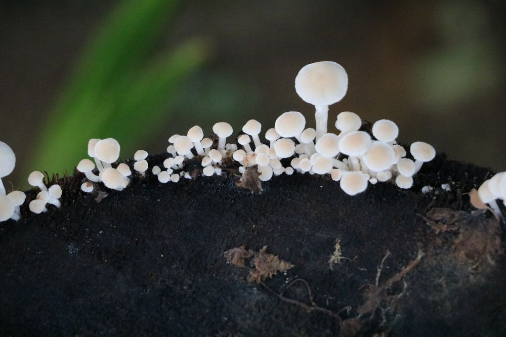 Photograph by Dimuth De Zoysa