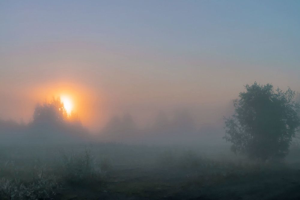 Photograph by Сергей