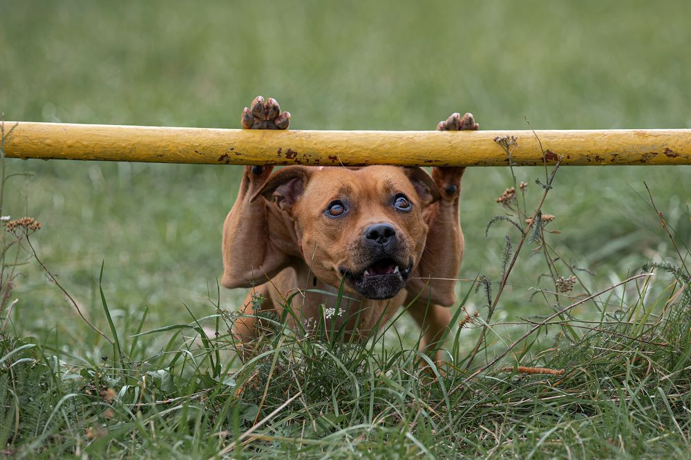 Photograph by Мария Шерскова