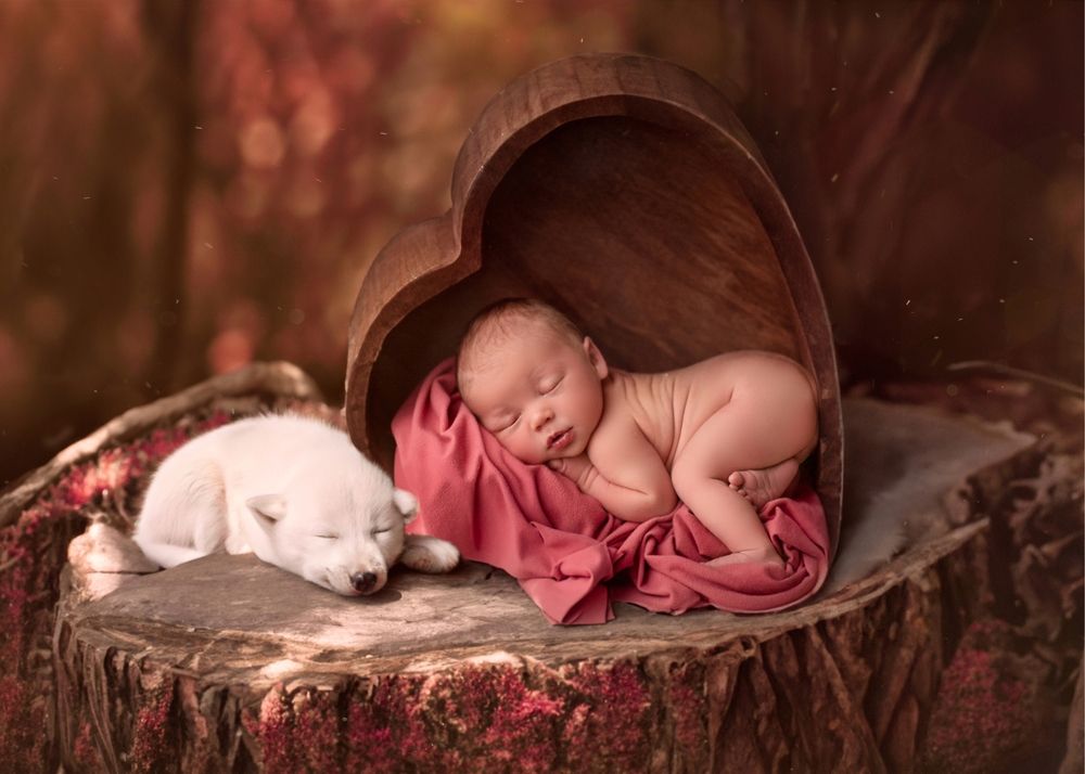 Photograph by Angela Saura