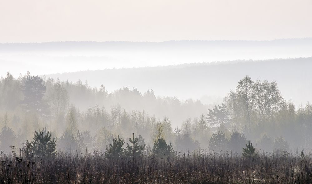 Photograph by Алексей Окунеев