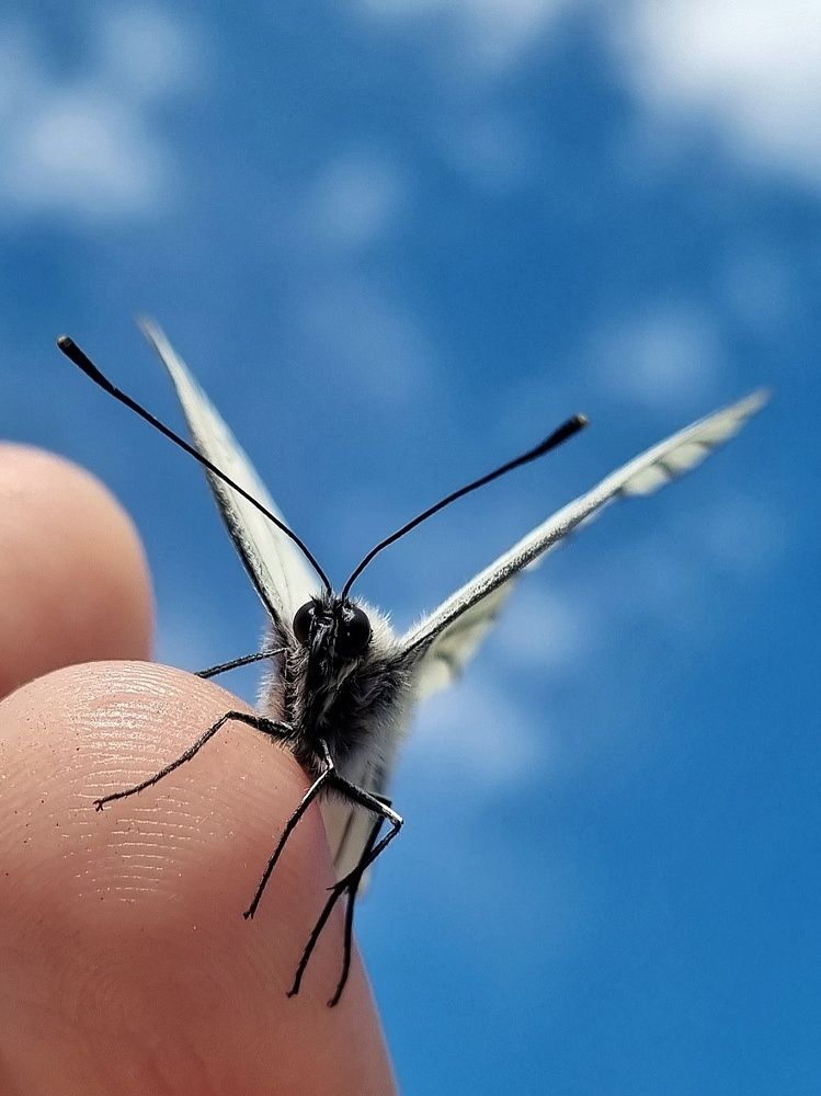 Photograph by Юлия Звонарева